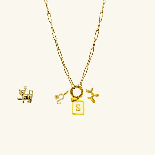 DYO – Detachable Charm Ring Necklace